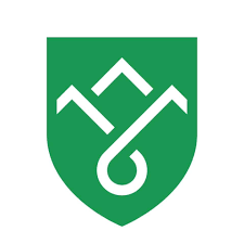 GVS Logo